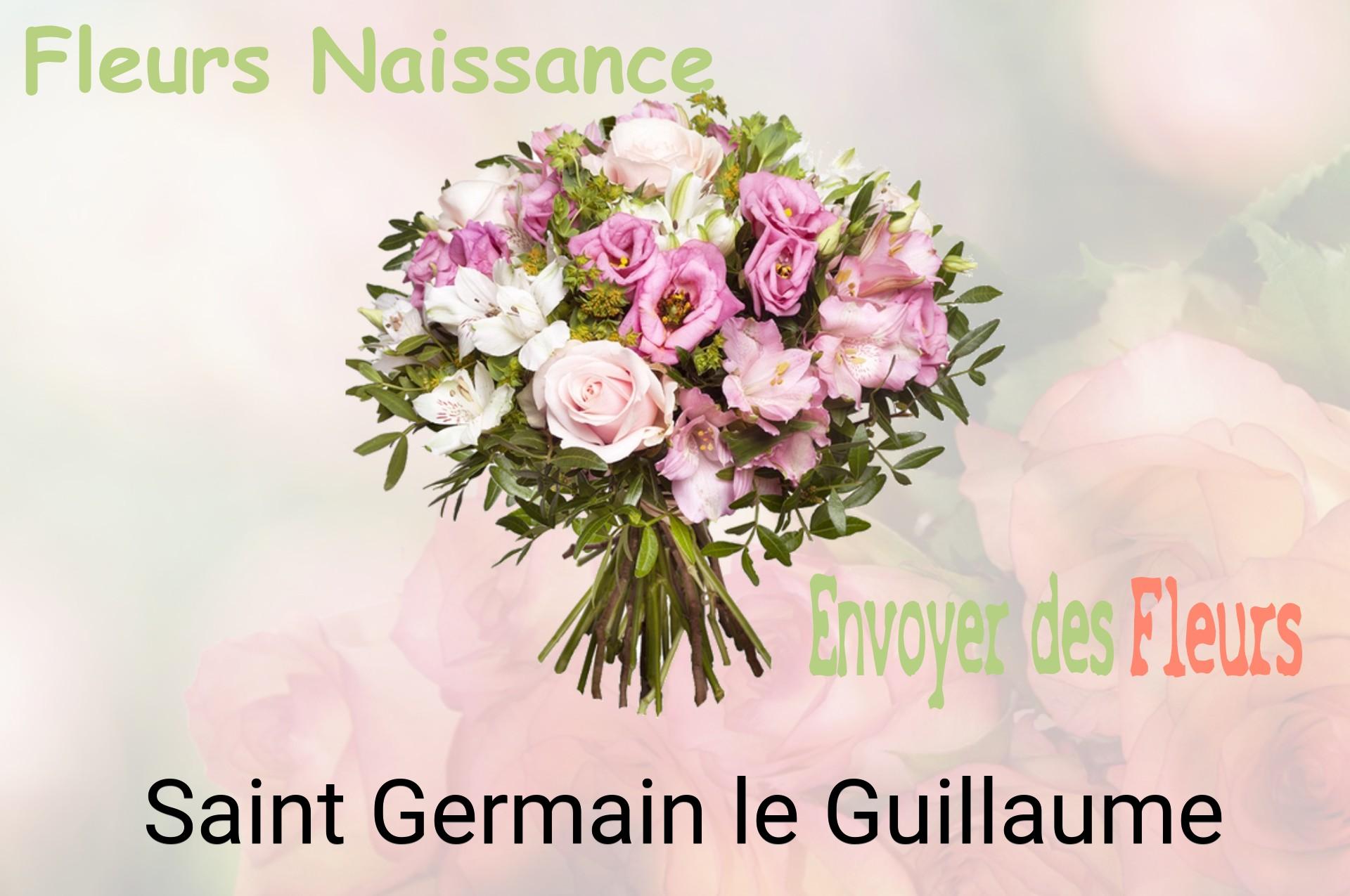 Bouquet de fleurs de naissance livré à Saint-Germain-le-Guillaume